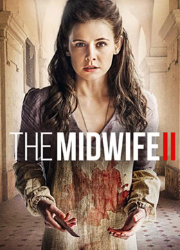 助产士2免费观看